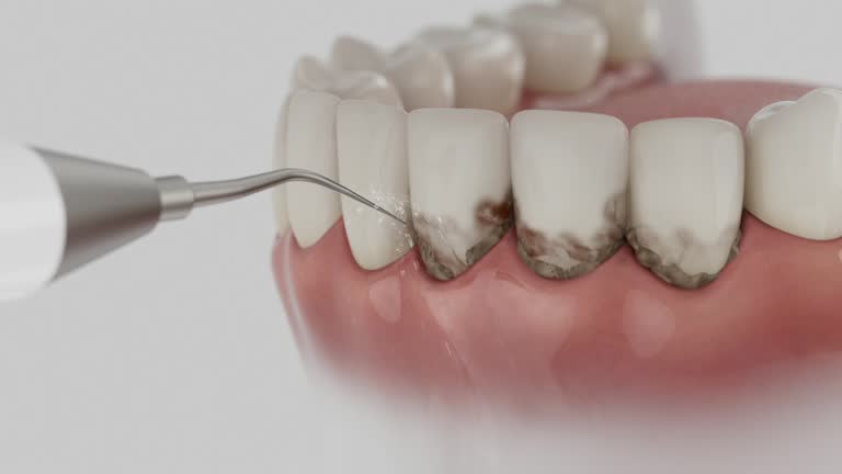 Reliable Dental contractor in Fussels Corner, FL by Dentist Open Now